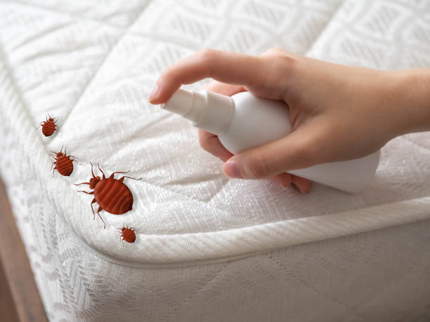 Best Residential Pest Control  in Hawley, PA